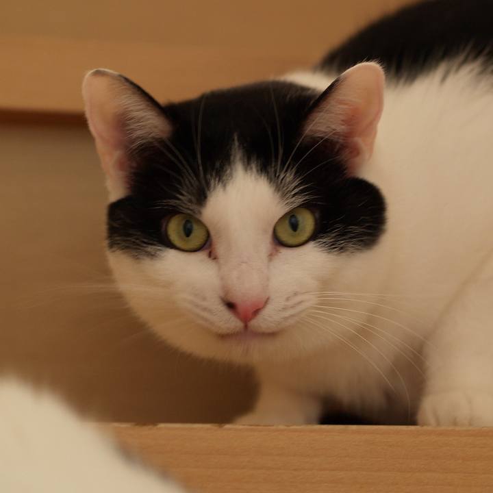 2b085d1c 0ed5 465e a823 f8e6ee4517ad 1766053759378