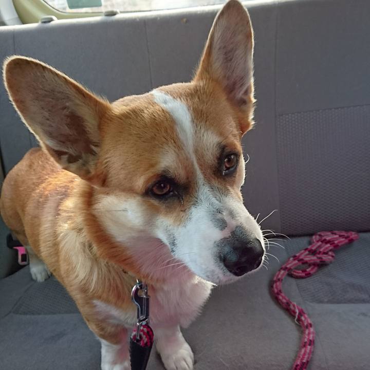 2b0863b4 7c70 4a49 b0a3 a80a087805eb 1609837631795