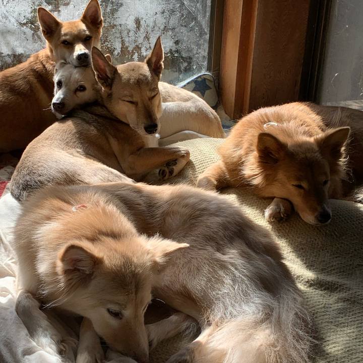 2b0875ad bd7c 4b78 a679 0773a171bf8d 1612573044239