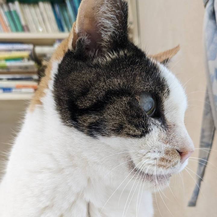 2b08842c f3ed 446b 9094 b4d4b7470663 1700465286302