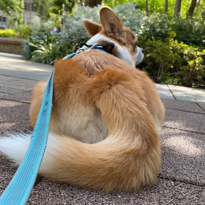 2b088f16 963a 46eb 99f7 80247c0b7cb3 1624235282596