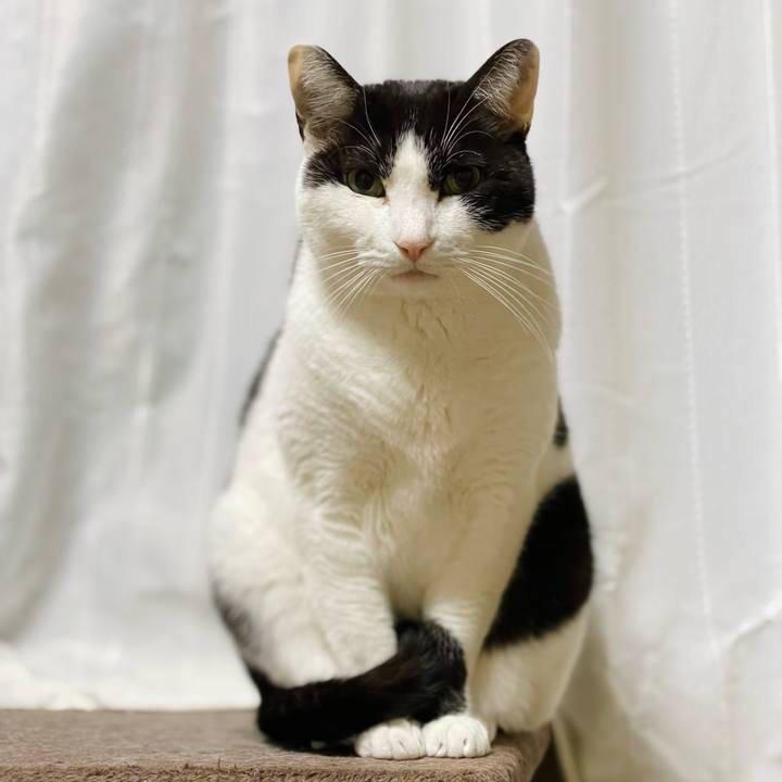 2b08b9d9 b6c1 4ef4 a826 5f95efe87f52 1648002996512