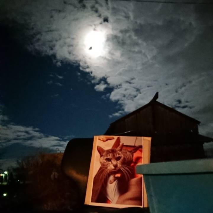 2b08f91e dabc 416c 8b77 04457edcfb76 1606644063392