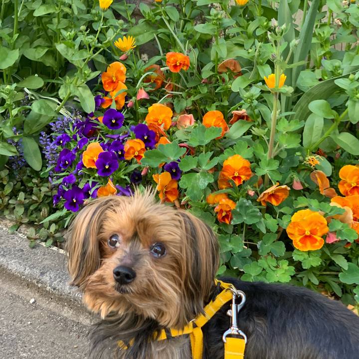 2b093a99 70d7 445d 8e83 864772f6a44c 1555798755550