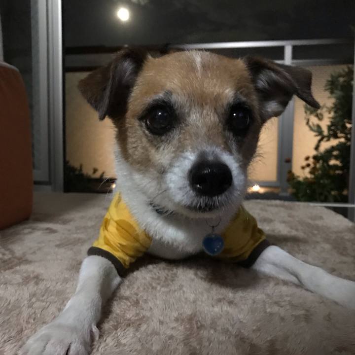 2b095a16 437c 4ec6 86f5 31047e2a1268 1560772817204