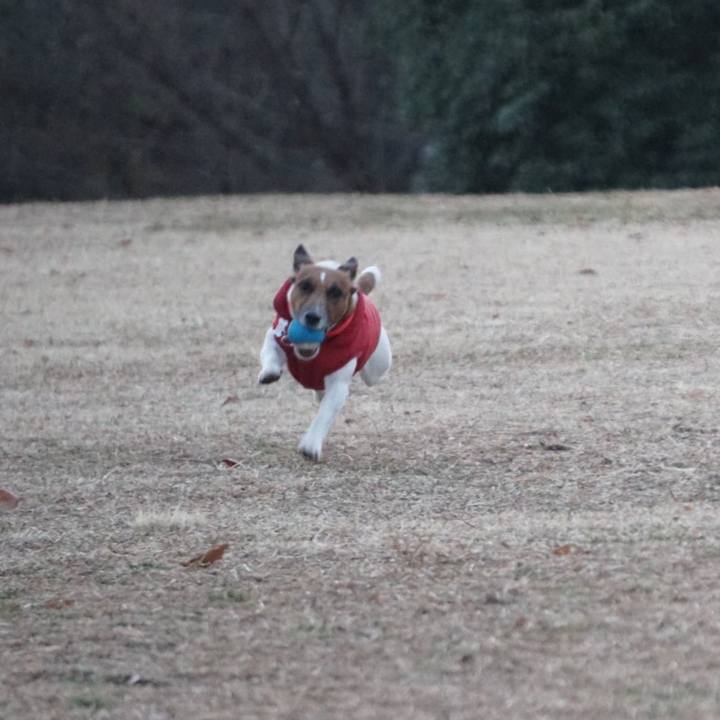 2b097cc1 96a0 4595 8be2 aa1c78b36e45 1547767834885