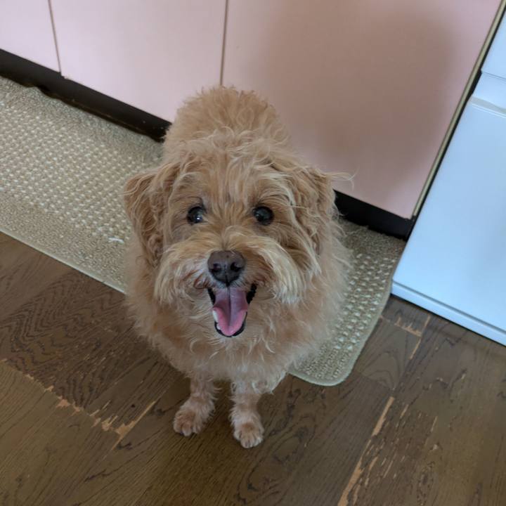 2b0990a1 a9ab 473a ab63 8b5ab224fb6b 1755501786986