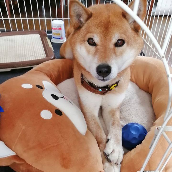 2b099740 af05 4a7e a0cb 0a0c252aaddd 1615094202071