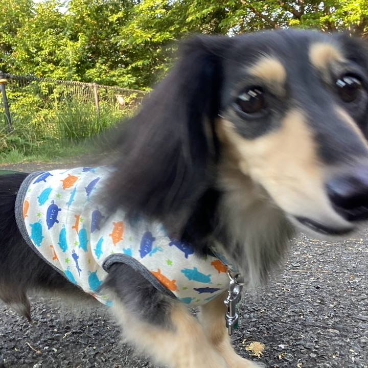 2b09c70b 0695 4c98 875c 06e3c530ca7e 1753655523103