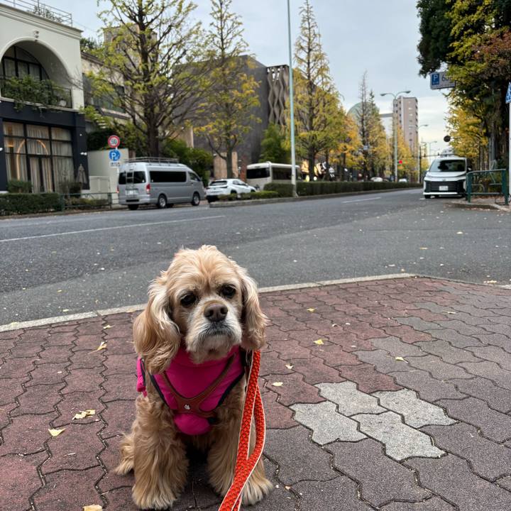 2b09d950 fb57 4fa5 8895 55ba757def90 1764256356161