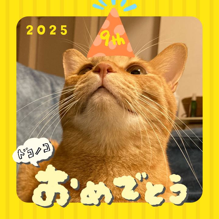 2b09e513 f766 4751 8b42 358d8ac532f0 1749101409265
