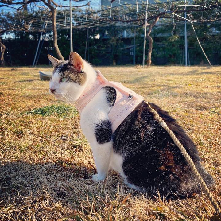 2b09f9e9 5218 49cf b0ef 821d6ff33caf 1612509830525