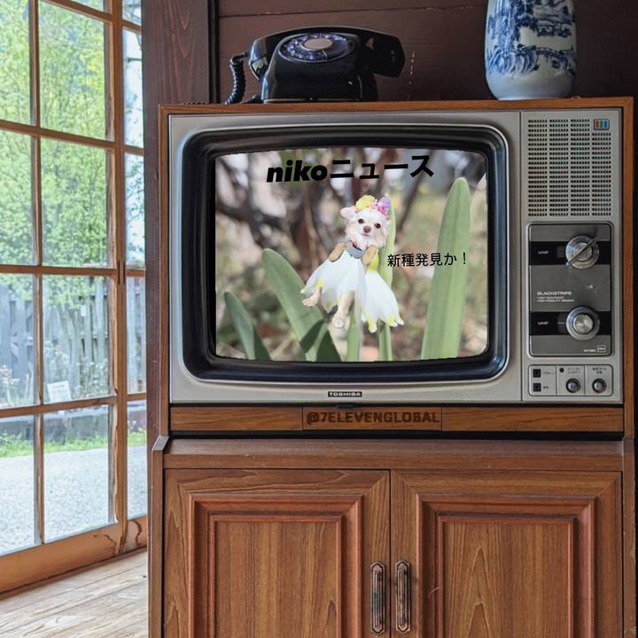 2b0a6b4a d561 479a b8c5 804fbb8b5bb3 1709602917360