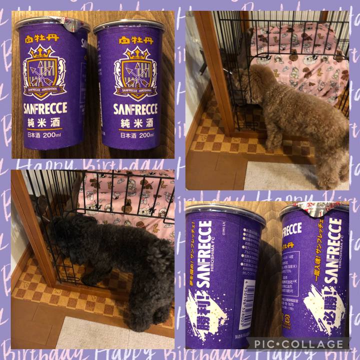 2b0a9db8 2541 4589 bb32 11767dc255cd 1615974802191