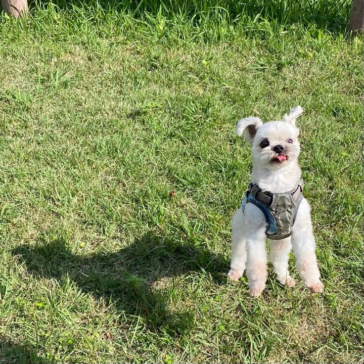 2b0aa83a 944f 4275 8b45 d3da5139b183 1730709872161