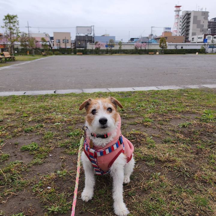 2b0acaa5 2b4a 4a16 b3b0 8a1283bd99a8 1743632112074