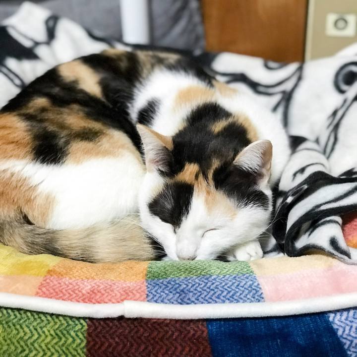 2b0aecde ed36 46a9 ba34 e6e5e118a464 1510496357241