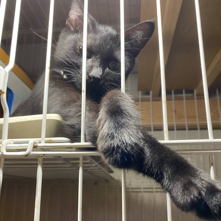 2b0b19fa 07f7 4d69 94a8 d8213be3521b 1631612203167