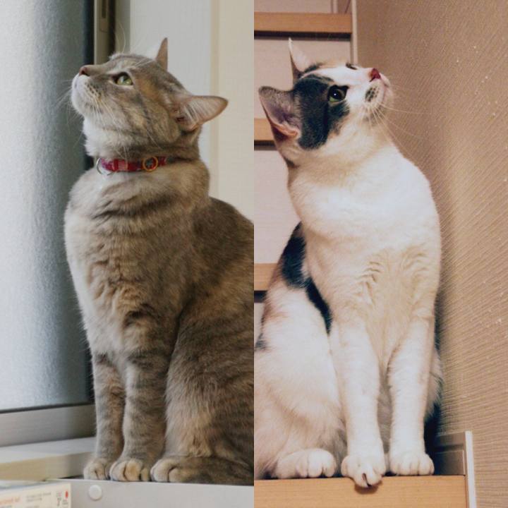 2b0b6a23 318e 4a61 9dc5 11b8454703e5 1511438058310