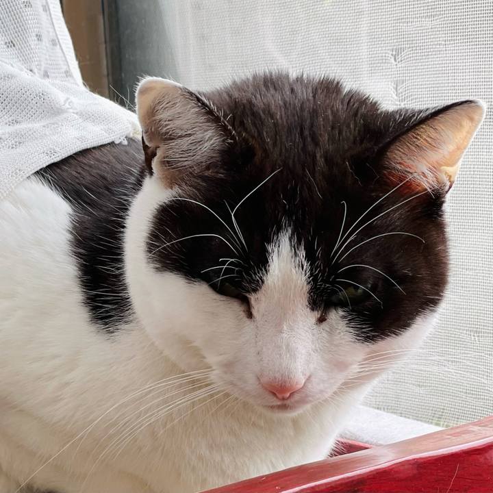 2b0b8f7f 0a52 460a 856a 97c68e65f1fb 1648261775164