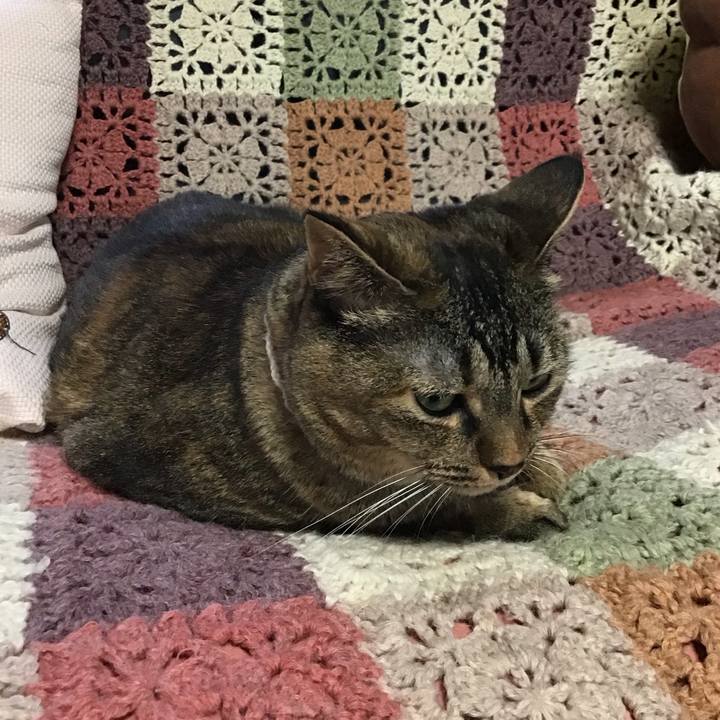 2b0bc099 83f1 4f33 9cd6 3b009861c7f3 1723705524836