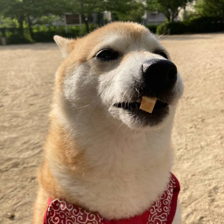 2b0c004a efd1 4ddb 85ad 8656216d1821 1627122931672