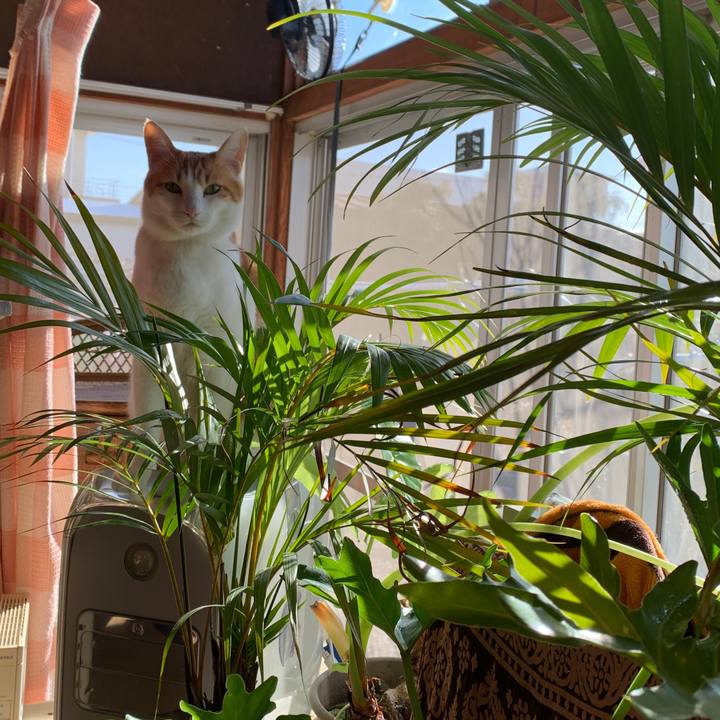 2b0c677b 2c06 4065 bb39 7ef35ad16855 1578130429410