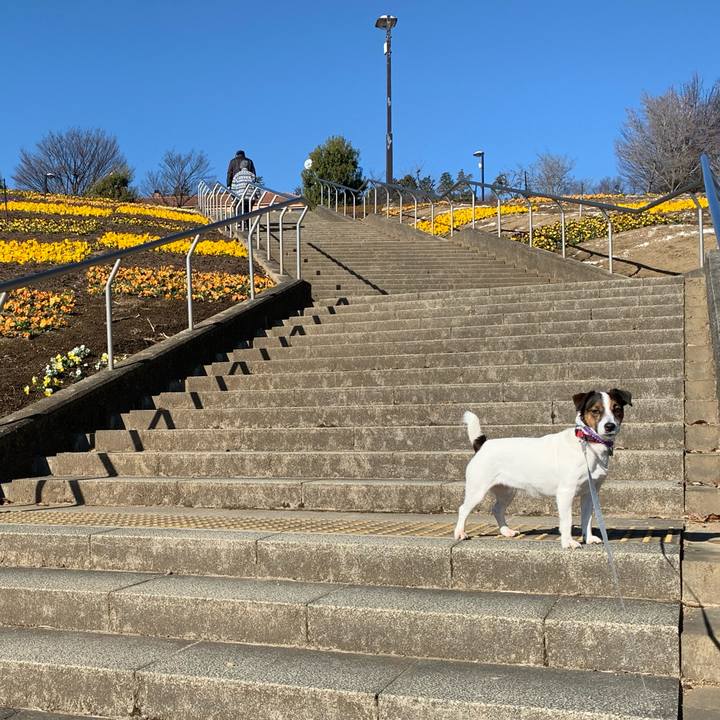 2b0c753c 01d3 409c b062 636701e02afb 1577953122780