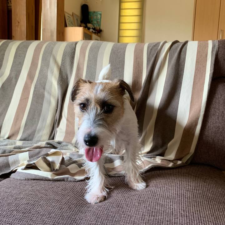 2b0c762c 50b2 4de1 96d9 46fff65fa134 1600231700849