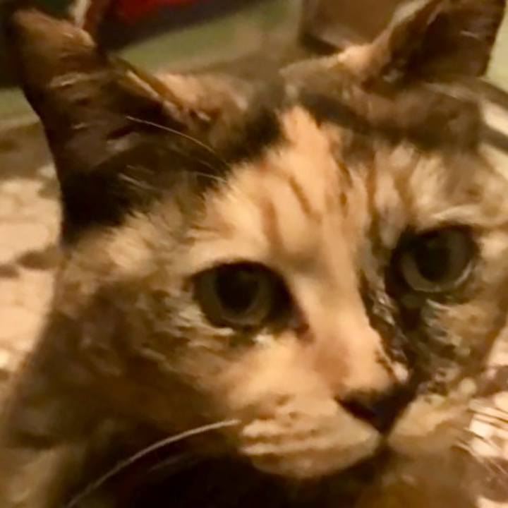 2b0c8192 e5d5 484a a905 e4593c669404 1734119450409