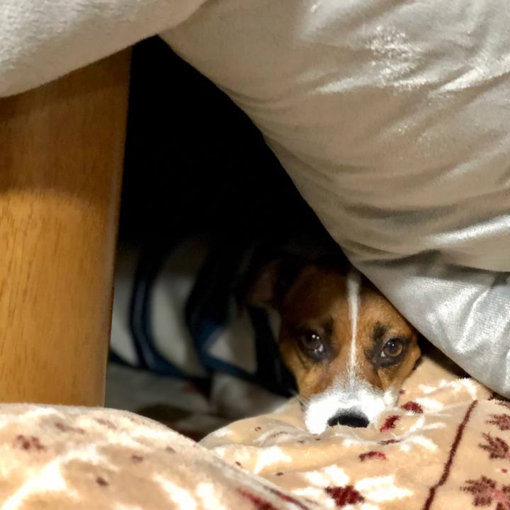 2b0cb628 711c 47e6 a442 6fb3cad4897a 1601970693879