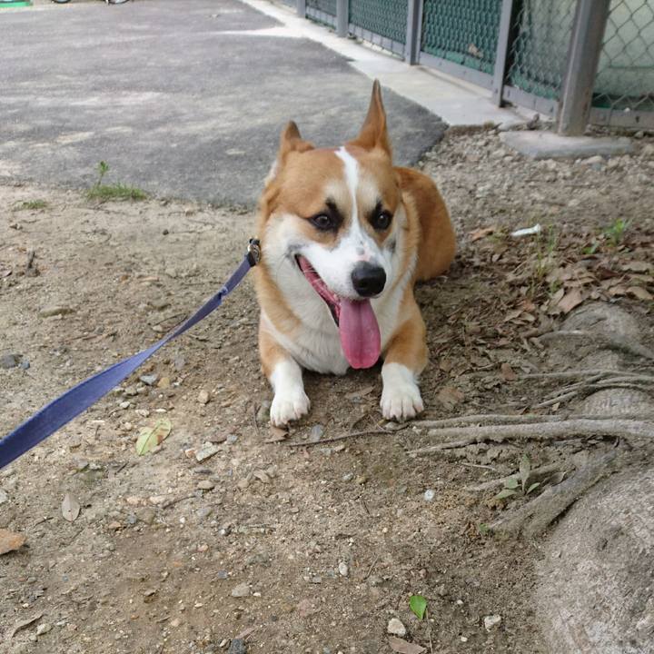 2b0cc520 fb7a 4186 b03a 97b09fd503da 1592703876256