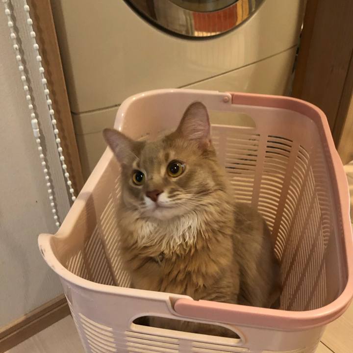 2b0cd624 ec15 4be1 86f6 bc8957230dd4 1592272486811