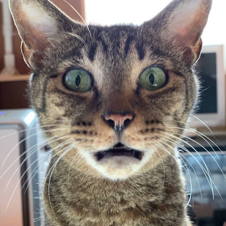 2b0d071b 5361 481a bf21 9d67f3531e14 1542589979776