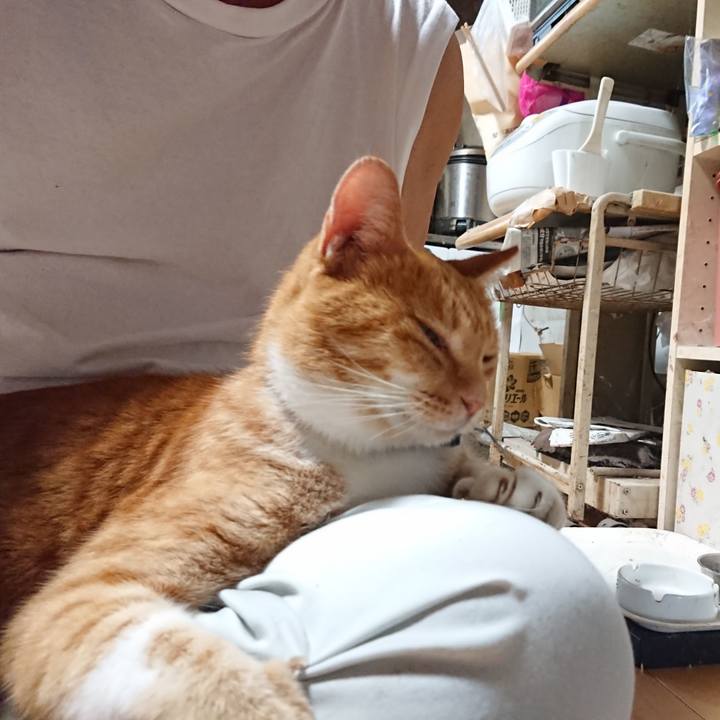 2b0d19be 6f85 4d72 a3c7 7bd6ea852b11 1600499192402