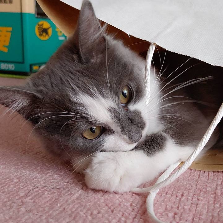 2b0d7027 60b2 4d7d 9cf4 a05619faec0e 1570338826030