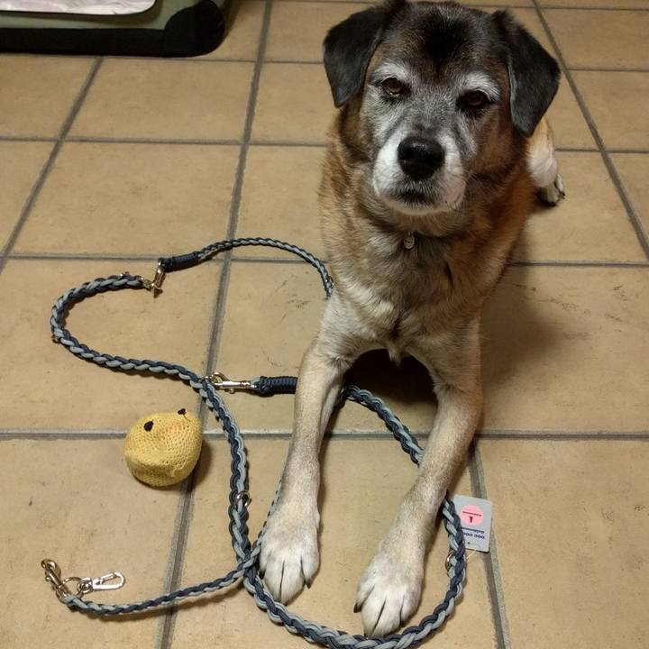 2b0d8e4f 07ef 44d8 b730 8cc7d297eb49 1542547253024