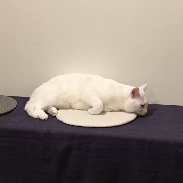 2b0de280 4b48 4980 8961 3e303d0f7d68 1548682053104