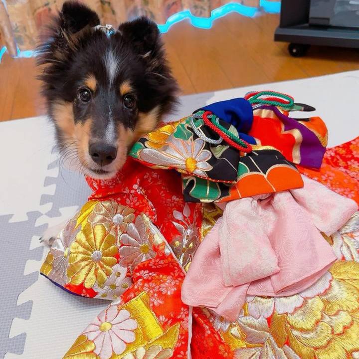 2b0de7a5 9412 4f88 a6c4 2badf7ff542f 1757630527611