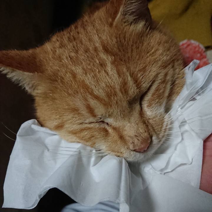 2b0df2f5 7e57 4633 b0ec 114869961ea6 1571430629988