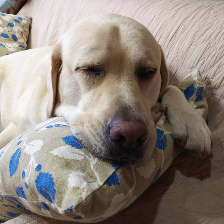 2b0e0322 8fc9 4b6f b615 b2486fd4e58f 1567154725666