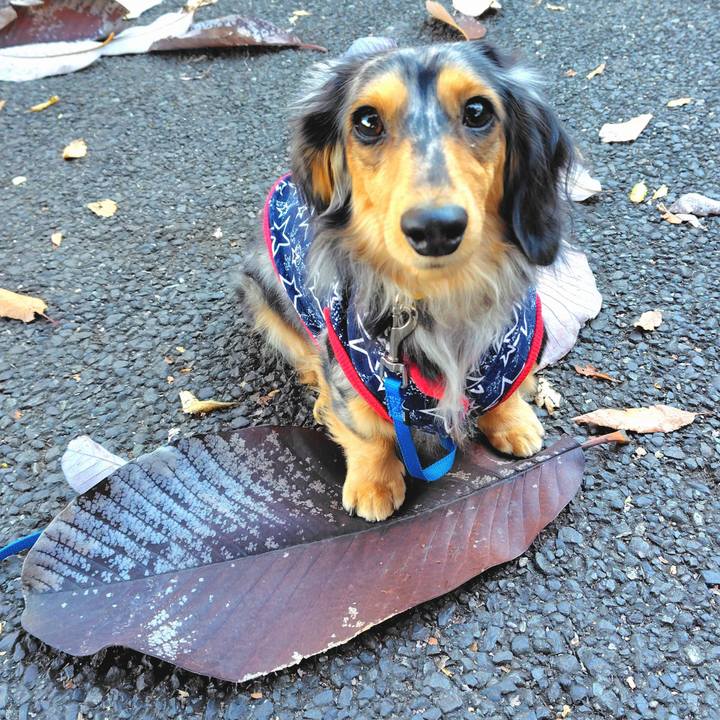 2b0e2040 1cd2 4638 a1fc c86d4ebf8b95 1763980790991