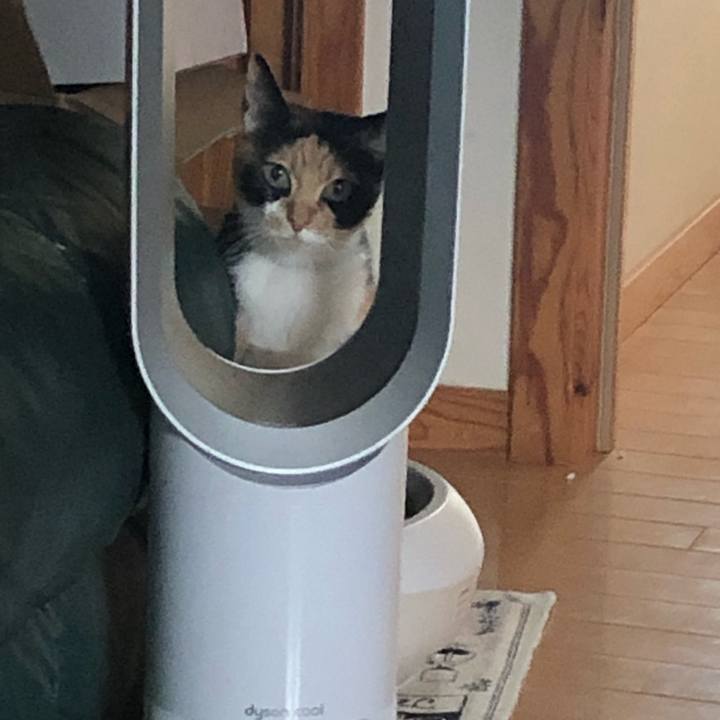 2b0e31a9 283a 4d7d 80f1 61dfc7b08f9c 1602124603368