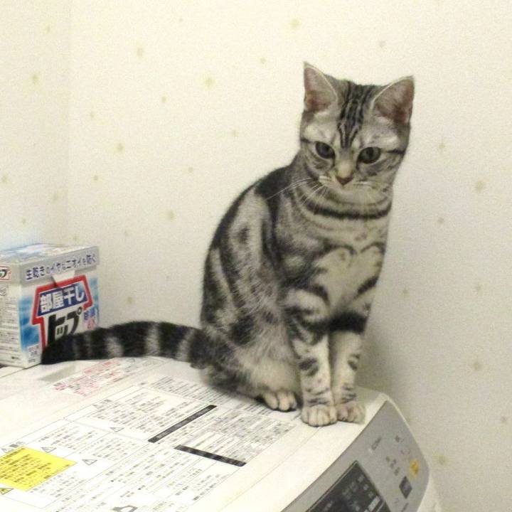 2b0e4709 53d5 4308 ae80 b416e2848a0e 1548569156710