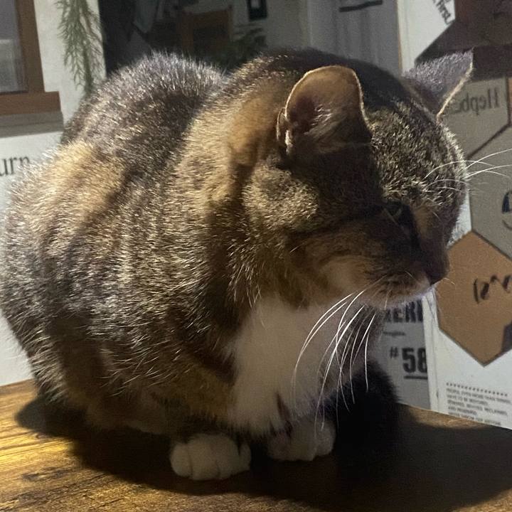 2b0e6883 cffb 4c60 bd03 a9ce7ac5dba3 1769603294562