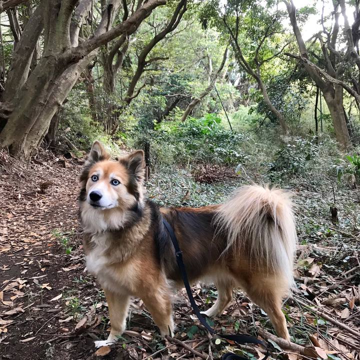 2b0e725a f21d 4015 a936 9e34bec1b815 1543713551548