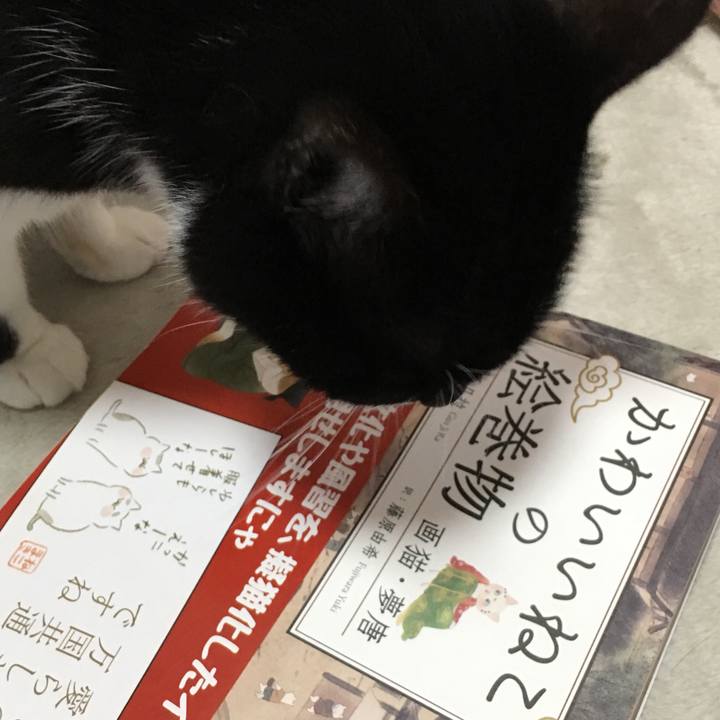 2b0e8792 cabb 47ff 998e c804b7d4a1b2 1527492622938