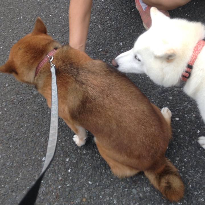 2b0e998b 64a8 45cc 91b1 6c18c099a3a8 1536650519006