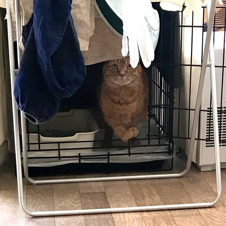 2b0f154e bd49 4288 8259 323c72afc33e 1586065956000