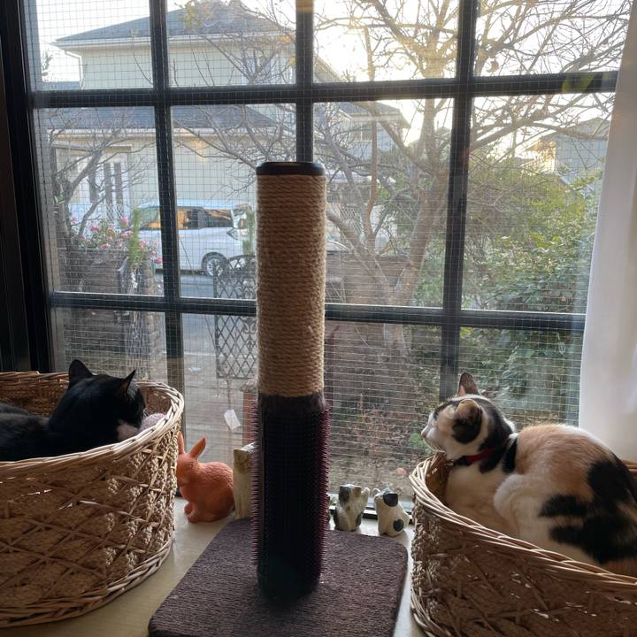 2b0f2057 58f0 4fb0 84db dd03fa9fff62 1704062451618